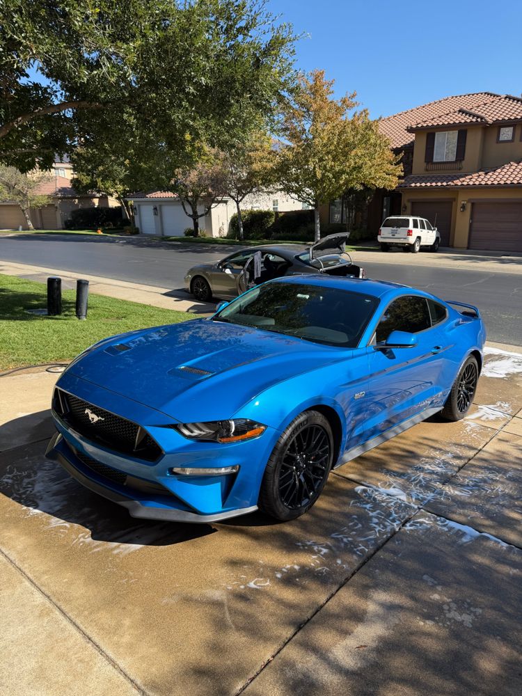 Ford Mustang 5.0 after a foam hand wash