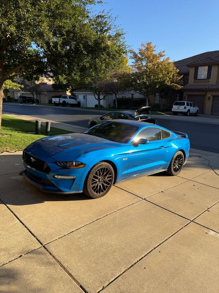 Ford Mustang 5.0 covered in dust before washing
